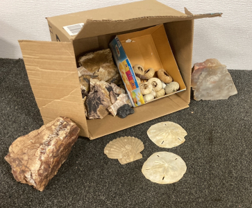 Rocks, and Shells