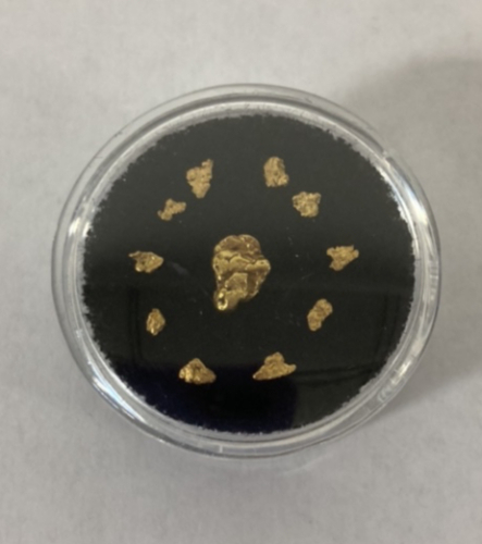 (11) Alaska/Yukon Gold Nuggets