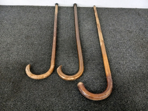 Lot Of Canes Three Different Sizes