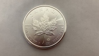 1 Troy Ounce .999 Fine Silver