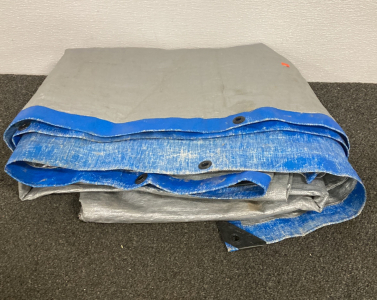 Tarp
