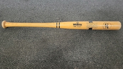 HeathSensations Little League Baseball/Tee Ball Bat