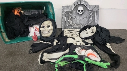 Halloween Decor and Costumes