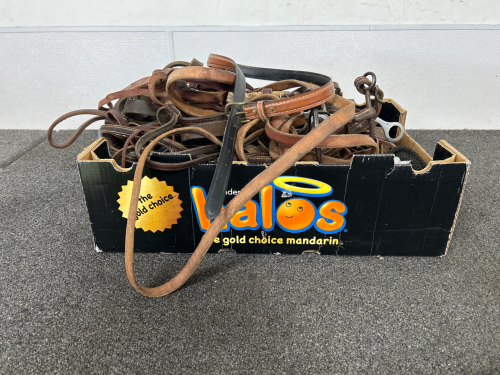 Box Containing Horse Tack