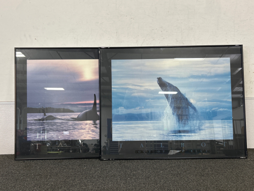 Pair of Talbot Whale Framed Prints