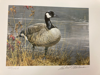 1987 National Fish And Wildlife Foundation Drawing Of Goose