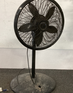 Fan