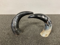 Pair Of Horns