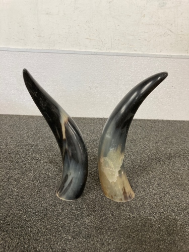 Pair Of Horns