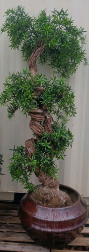 Large Potted Artificial Tree