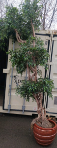 Large Potted Artificial Tree