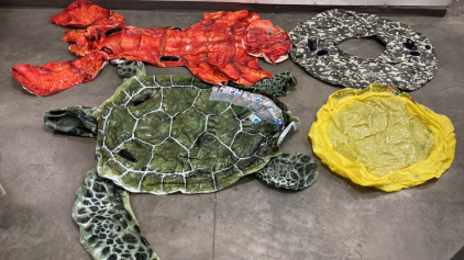 (4) Flotation Devices