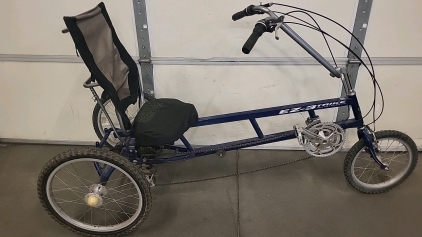 EZ-3 Trike by Easy Racers Inc.