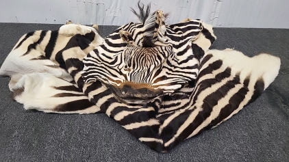 Zebra Hide Rug