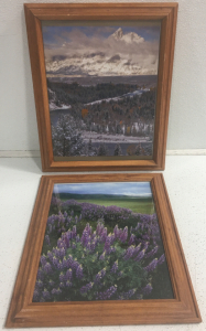 (2) Framed Nature Pictures