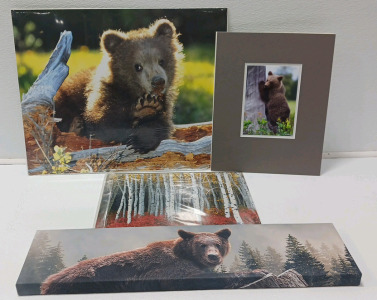 (2) Bear Photos (1) Tree Photo And (1) Bear Canvas