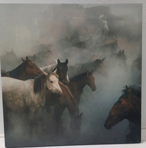 Canvas Horse Print