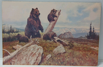 Bear And Cub Print