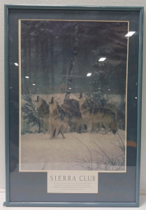 Framed Wolf Print