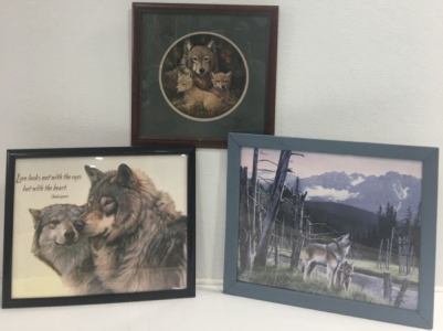 (3) Framed Wolf Pictures
