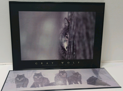 (2) Gray Wolf Framed Prints