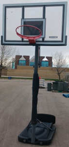 Lifetime Basketball Hoop