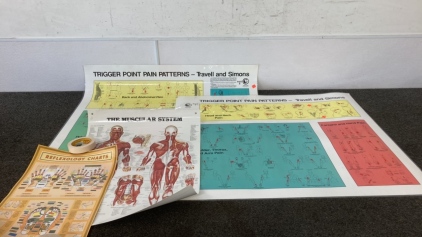 (4) Laminated Charts