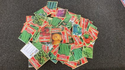 Over 100 Vegetable Seeds