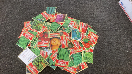 Over 100 Vegetable Seeds