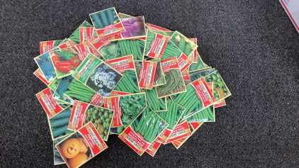 100 + Vegetable Seeds