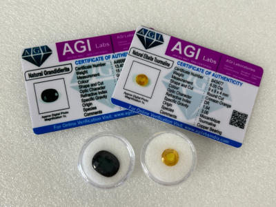 Pair of Certified Gemstones Please Inspect