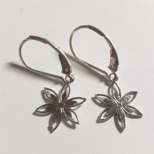 Silver Earrings