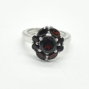 Silver Garnet(3.6ct) Ring