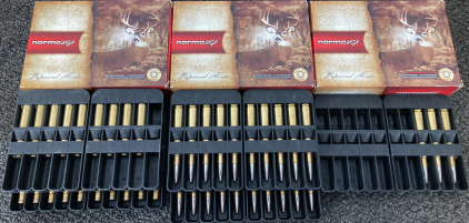 (23) Rnds. Norma USA 30-06 Ammo And (19) Casings