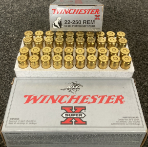 (40) Rnds. Winchester Super X 22-250 Rem Ammo