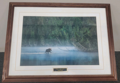 "Moose At Isle Royale" Photo Print