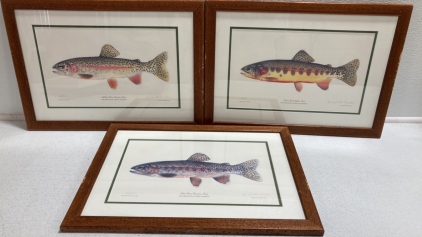(3) Joseph R Tomelleri Fish Prints