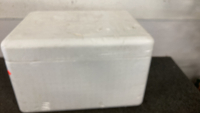 Styrofoam Cooler