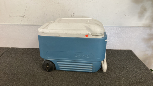 Igloo Cooler