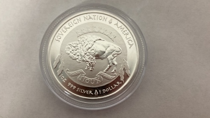 Silver Indian Brave/Buffalo Round