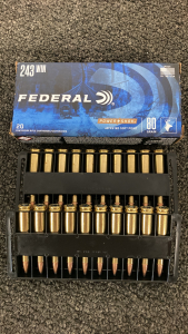 (20) Rnds. Federal 243 Win Ammo