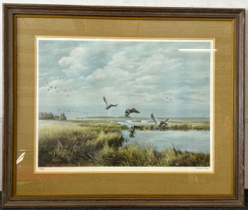 36&rdquo;x 30&rdquo; Framed Duck Wall Art Signed and Numbered Maynard Reece