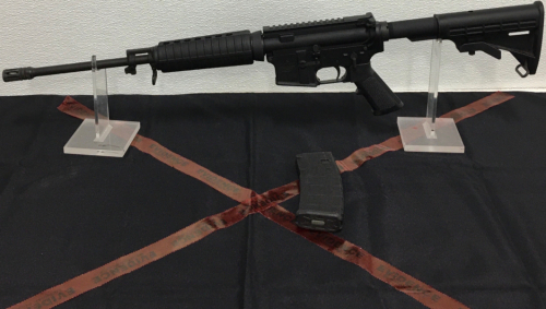 Bushmaster XM15-E2S, .223/5.56 Semi Automatic Rifle
