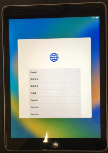 Apple Ipad