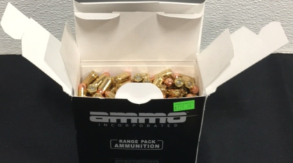 (250) Ammo Incorporated 380 Auto Ammunition