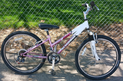 Schwinn Ranger 2.4 FS