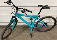 Blue Adult Bicycle