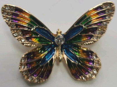 Multicolored Butterfly Pin