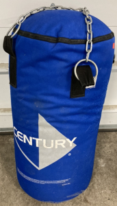 Hanging Century Punching Bag