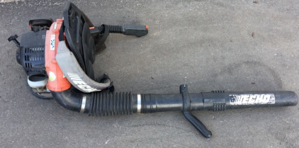 Echo Backpack Blower